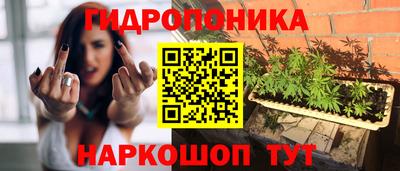 прущая мука Будённовск