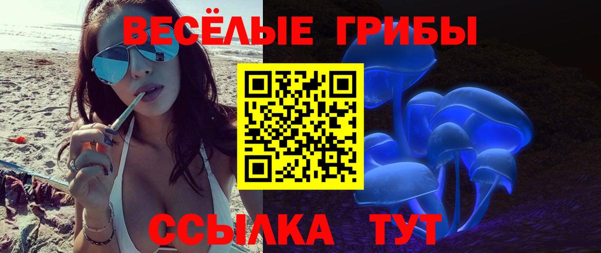 Тосно  Галлюциногенные грибы Cubensis  цена   Вход с VPN 